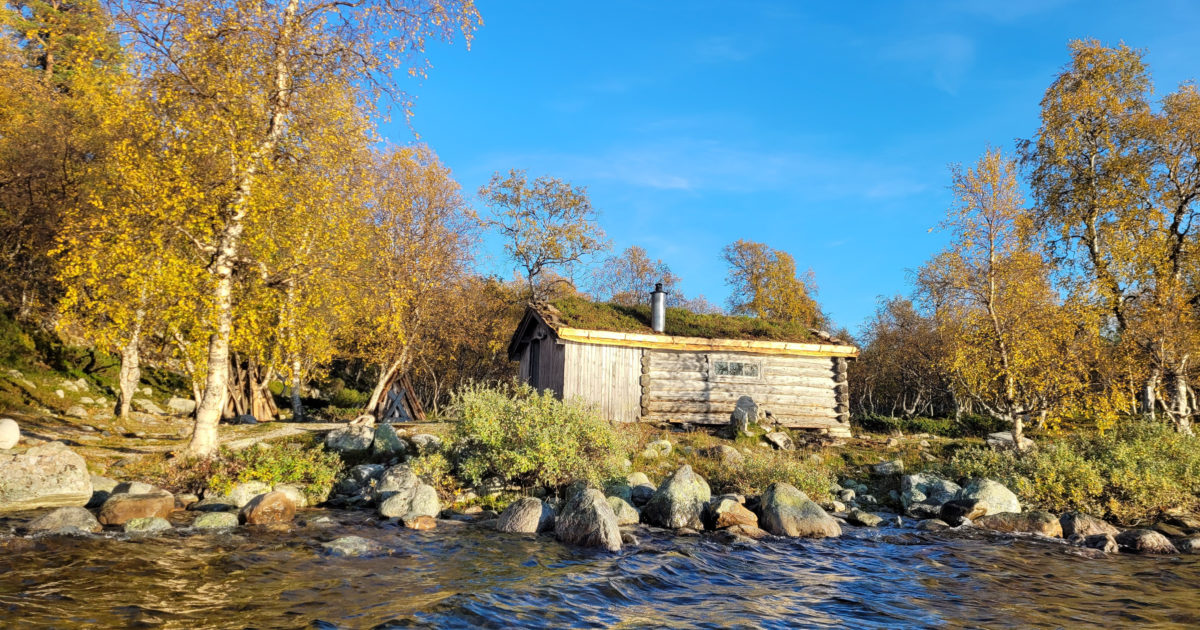 Nytt torvtak sikrer fremtiden for Røosbua i Femundsmarka | Statskog