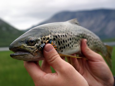 En verden bortenfor fiskeblokkene