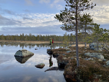Jobbmuligheter i Trøndelag
