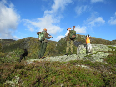 Rypejaktstart i oktober og løshundjaging av elg