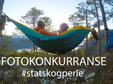 Statskogperler kan gi deg hengekøye