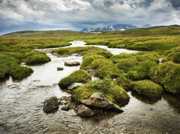 Drømmejobb i fjelltjenesten