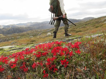 Jobbmuligheter på Helgeland