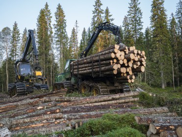 Viktig støtte til skognæringen