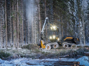 Stort skogoppdrag på anbud
